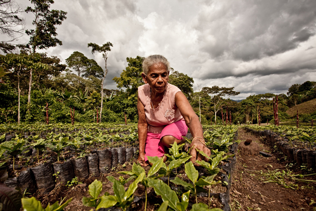 Gracias al Comercio Justo, existe un café cultivado por mujeres propietarias de su tierra que forman parte de la cooperativa Aldea Global, de Nicaragua